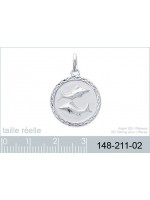 Pendentif Verseau Argent