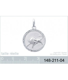 Pendentif Verseau Argent