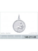 Pendentif Verseau Argent