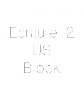 Gravure 2 : US Block