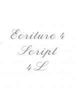 Gravure 4 : Script 4L