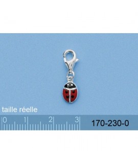 Charm Coccinelle