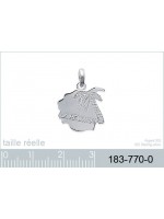 Pendentif Ile de la Réunion Argent