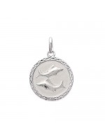 Pendentif Verseau Argent