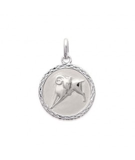 Pendentif Verseau Argent