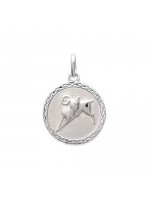 Pendentif Verseau Argent