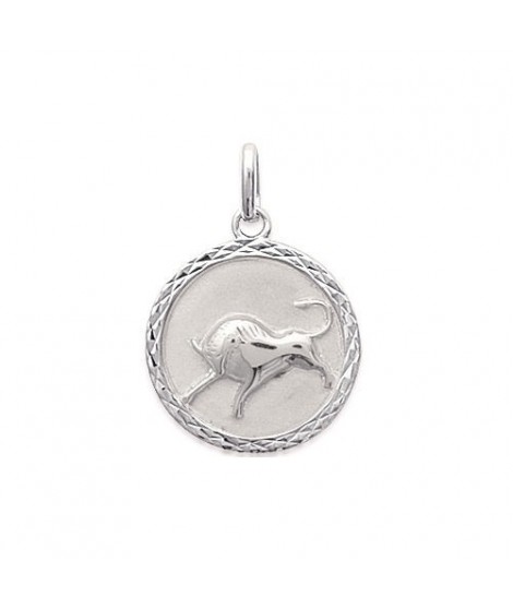 Pendentif Verseau Argent