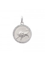 Pendentif Verseau Argent